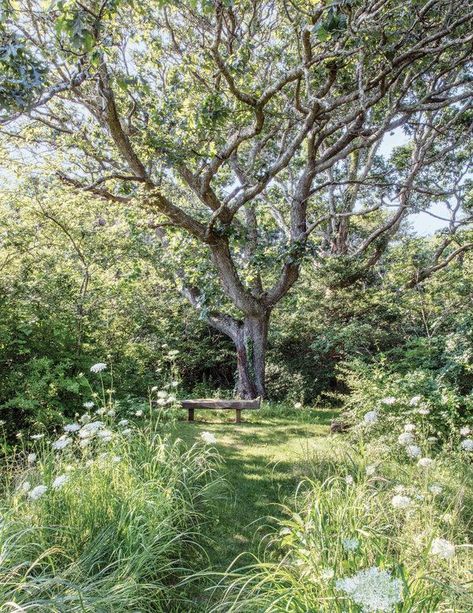 Hygge Garden, Lake Garden, Wild Flower Meadow, Wildflower Garden, Potting Shed, Dream Garden, Secret Garden, Garden Inspiration, Lawn