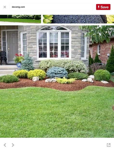 Landscaping Under Windows Front Yards, Front Of House Under Window Landscaping, Front Yard Landscaping Bay Window, Landscaping Around Bay Window, Bay Window Garden Ideas Outside, Front Yard Under Window Landscaping, Bay Window Landscape Ideas, Landscaping In Front Of Window, Landscaping Under Windows