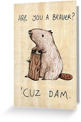 Are you a beaver? Greeting card by Sophie Corrigan Punny Valentines Day Cards, Funny Valentines Cards For Him, Valentines Cards For Him, Dating Goals, Punny Cards, Dear Husband, Funny Valentines Cards, Fun Sayings, Coping Mechanism