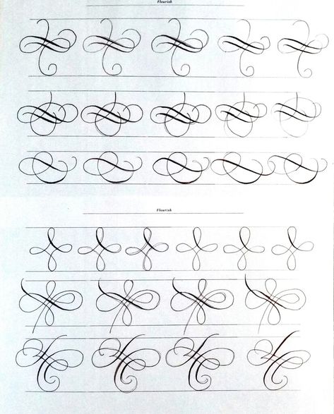 Flourish Calligraphy, Calligraphy Fonts Alphabet, Calligraphy Worksheet, Calligraphy Ideas, Pointed Pen Calligraphy, Calligraphy Tutorial, Calligraphy Drawing, Copperplate Calligraphy, Calligraphy For Beginners