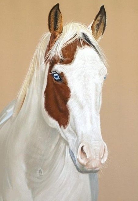 Horse Art Ideas, Unusual Horse, Minimalistic Tattoo Ideas, Equine Artwork, Minimalistic Tattoo, Chihuahua Art, Horse Sketch, Horse Paintings, Pen Art Drawings