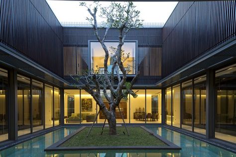 Centennial Tree House with energizing courtyard in Singapore Court Yard, Patio Grande, Patio Interior, Courtyard House, Contemporary House Design, Contemporary Landscape, Architecture Firm, Interior Architecture Design, Contemporary House