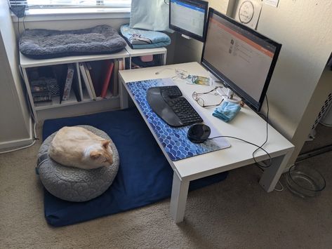 My Japanese-Inspired Floor Desk: 6 months later + 5 tips for sitting on the floor – Teena Merlan | Writer Japanese Desk, Guest Bedroom Home Office, Room Minimal, Floor Desk, Japanese Apartment, Boxcar Children, Messy Desk, Study Desk Decor, Floor Sitting