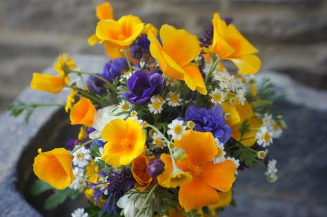 California Poppies Bouquet, California Poppy Bouquet Wedding, California Wildflower Bouquet, California Poppy Wedding, California Poppy Bouquet, Cornflower Bouquet, Poppy Flower Bouquet, Indian Blanket Flower, California Flowers