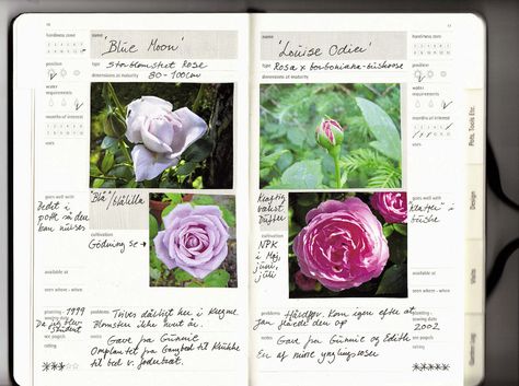 Moleskine Passions Gardening Journal - Roses Garden Journaling, Garden Notebook, Gardening Journal, Garden Diary, Plant Journal, Creative Journaling, Gardening Books, Garden Journal, Healthy Garden