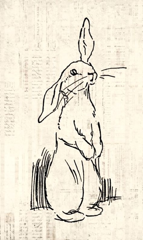 Hare Sketches Drawings, Hare Line Drawing, Vintage Rabbit Drawing, Velveteen Rabbit Illustration, Irish Hare Tattoo, Rabbit Sketch, Bunny Sketch, Hare Tattoo, Hare Drawing