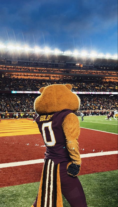 university of minnesota twin cities mascot goldy Minnesota Gophers Wallpaper, Minnesota Aesthetic, University Of Minnesota Aesthetic, Minneapolis Minnesota Aesthetic, Minnesota University, University Of Minnesota Graduation, University Of St Thomas Minnesota, Row The Boat, College Wallpaper