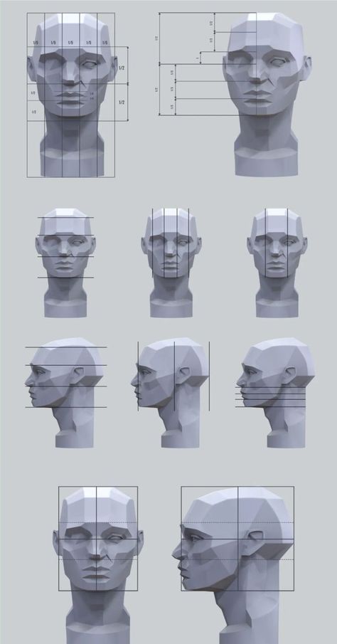 Gray Scale Portrait, Female Face Planes, Human Face Anatomy Reference, Planes Of The Face Reference, 3d Head Reference, Asaro Head Study, Head Sculpture Reference, Head Model Reference, Face Planes Art Reference