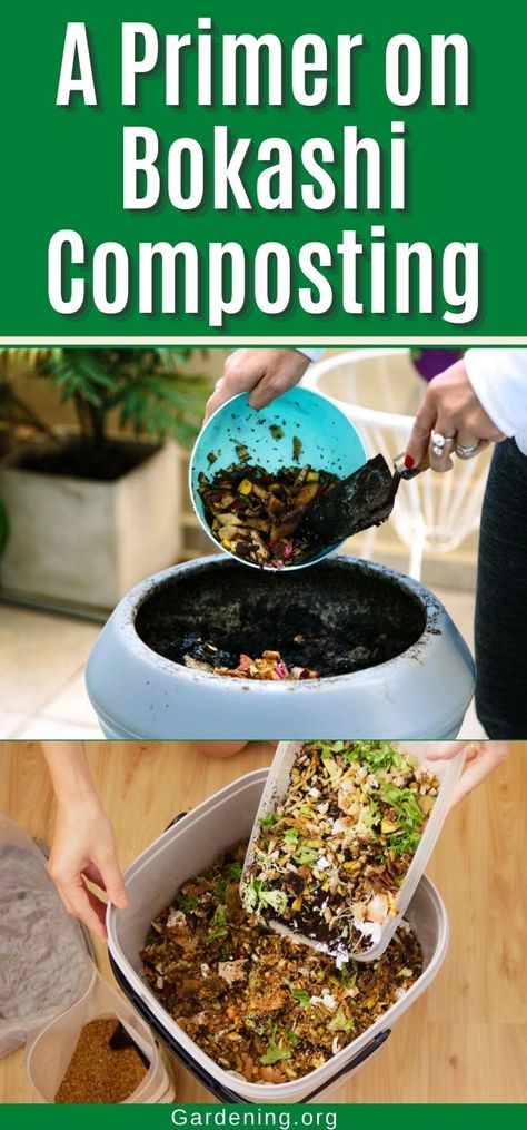 Bokashi Composting Diy, Blender Composting, Bokashi Composting, Apartment Composting, Composting Methods, Sustainable Homestead, Living Sustainably, Diy Compost, Composting Process