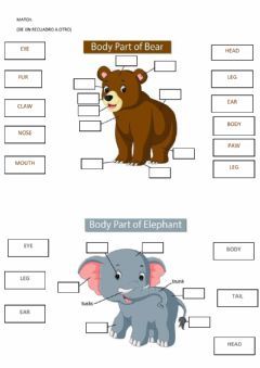 Parts of the body Language: English Grade/level: 2 School subject: English as a Second Language (ESL) Main content: Animals Body Parts Other contents: animals Animal Body Parts Worksheet, Animal Worksheets For Kids, Animals Worksheets For Kids, Parts Of Animals, Body Parts Worksheet, Animals Worksheet, Animal Body Parts, English Activities For Kids, Art Activities For Toddlers