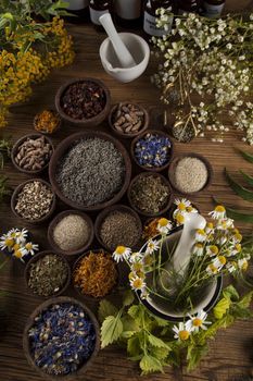 Modern Herbalist Aesthetic, Herbalistic Medicine, Homeopathy Aesthetic, Naturopathic Doctor Aesthetic, Apothecary Flowers, Apothecary Plants, Herbs Artwork, Herbalism Aesthetic, Holistic Aesthetic