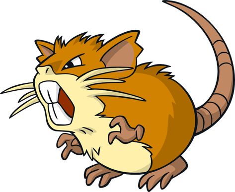 Raticate | Pokémon Wiki | FANDOM powered by Wikia Pokemon Wiki, Mouse Pokemon, Pokemon Alola, Glitter Digital Paper, Pokemon Stickers, Nursery Art Girl, Pokemon Pokedex, Nursery Art Boy, Scary Faces