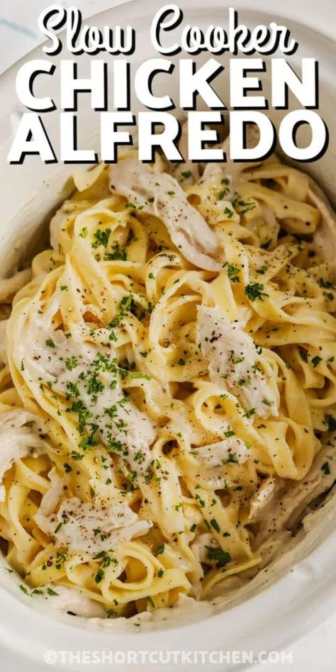 Homemade Chicken Alfredo Recipe, Homemade Chicken Alfredo, Crockpot Chicken Alfredo, Chicken Alfredo Recipe, Creamy Pasta Dishes, Recipe Pasta, Chicken Alfredo Recipes, Easy Crockpot Chicken, Pasta Casserole