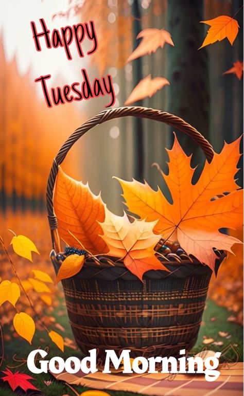 Good Morning Tuesday Fall Images, Tuesday Fall Morning, Good Morning October 1st, Happy Tuesday Fall, Fall Good Morning, Good Morning Fall Images, Good Morning Fall, Clear Autumn, Good Morning Happy Tuesday