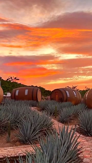 BEAUTIFUL HOTELS on Instagram: "Did you know there's a town called Tequila, Mexico? 🤯🇲🇽 Watch @diariesofatravelista's tour of the world’s first hotel to be located in a tequila factory. 🍸 Come spend a night sleeping in a giant tequila barrel at the Matices Hotel de Barricas! Get to know the true spirit of this all-time favorite drink. 😌 𝐎𝐧 𝐘𝐨𝐮𝐫 𝐒𝐭𝐚𝐲: • Be greeted with a tequila welcome drink at check-in, while a mini-bar is also stocked with 6 varieties of tequila produced in the Tequila Mexico, Mexico Tourism, Barrel Room, Cozumel Mexico, Welcome Drink, Mexico Vacation, Sunset Landscape, Beautiful Hotels, A Town