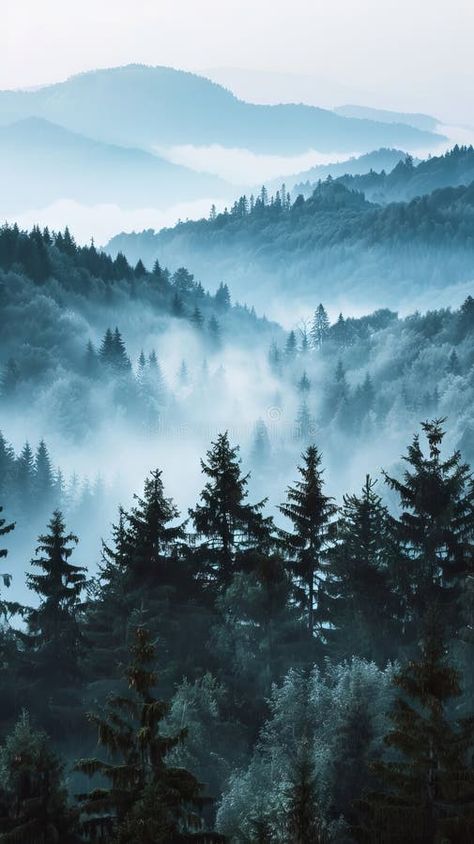 A foggy mountain landscape with trees and fog royalty free stock images Foggy Wallpaper, Foggy Ocean, Winter Scapes, Aesthetic Fog, Foggy Aesthetic, Fog Aesthetic, Foggy Trees, Folio Ideas, Monochrome Landscape