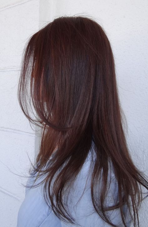 Redish Brown Hair, Reddish Brown Hair Color, Dark Hair Color, Dark Auburn Hair, Reddish Brown Hair, Hair Tint, Brown Hair Inspo, Red Brown Hair, Hair Color Auburn