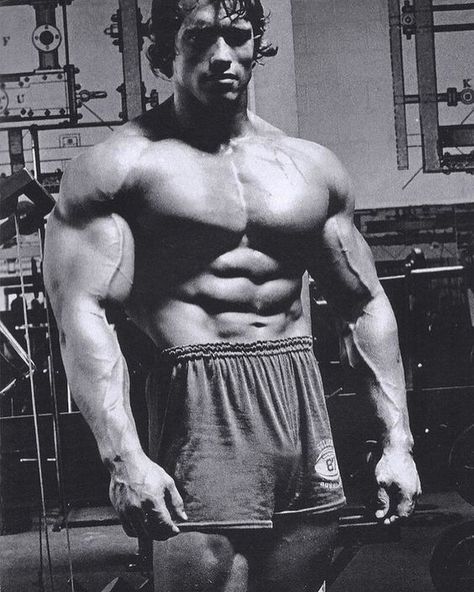 Arnold Schwarzenegger 🔥 Arnold Schwarzenegger, Gym, Quick Saves