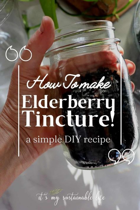 Diy Syrup, Elderberry Tincture, Homemade Elderberry Syrup, Elderberry Syrup Recipe, Homemade Elderberry, Elderberry Recipes, Gummies Recipe, Healthy Immune System, Elderberry Syrup