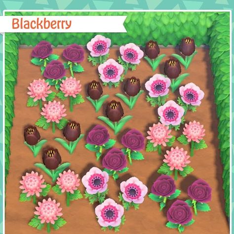 Acnh Flower Combinations, Flower Combinations, Flower Garden Layouts, Acnh Patterns, Animals Crossing, Animal Crossing Guide, Happy Home Designer, City Folk, Gaming Stuff