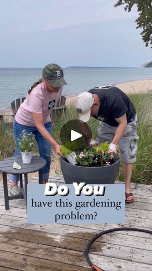 13K views · 82 reactions | Do you have this gardening problem? 🦌 THREE deer resistant annuals to try in your garden! 1️⃣ Salvia: Rockin’ Fuschia - 🪴 Planting one in the center of this container garden as a statement plant or focal plant.  🪴Anuual. Sun to part sun. Height: 2-3”, spread 2’ - 2’6”. Continuous fuchsia colored blooms, no deadheading. Pollinator friendly. Annual except in gardening zones: 9a-11b. 2️⃣ Verbena: Superbena Sparking Rosé.🪴 Planting 3 throughout planter. 🪴 Annual. Sun to part sun. Trailing. Height: 6-12”, spread: 18-2’6”. Bicolor white and pink flowers. Self cleaning, no deadheading. Annual except in gardening zones: 8a-10b. 3️⃣ Sedum: Lemon Coral Sedum:.🪴 Planting two between verbena..🪴 Annual. Sun to part sun. Filler & spiller. Height: 3-10”, spread 10-14”. B Lemon Coral Sedum, Deer Resistant Annuals, White And Pink Flowers, Gardening Zones, Tiny White Flowers, Snow Princess, Planting Roses, Container Garden, Mary Ann