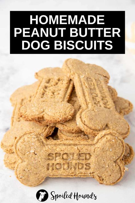 Peanut Butter Dog Biscuits made with simple ingredients. Get the easy recipe and find out how to make the best peanut butter biscuits for dogs. These crunchy homemade dog biscuits are less expensive than store-bought and have healthy ingredients with no preservatives. DIY dog biscuits with peanut butter are a tasty doggie treat. #dogtreats #homemadedogtreats #diydogtreats #dogbiscuits Dog Biscuits Homemade Peanut Butter, Crunchy Dog Treats Recipes, How To Make Dog Biscuits, Homemade Dog Biscuits Recipe, Healthy Dog Biscuits Recipes, Home Made Dog Biscuits Recipes, Peanut Butter Dog Treats Homemade Easy, Homemade Dog Biscuits Recipe Easy, Dog Biscuits Homemade Easy