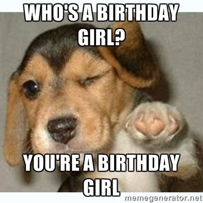 Who's a Birthday Girl? You're a Birthday Girl - fist bump puppy Birthday Quotes Funny For Her, Funny Happy Birthday Quotes, Happy Birthday Humorous, Birthday Girl Meme, Memes Gretchen, Funny Happy Birthday Meme, Birthday Quotes For Her, Funny Happy Birthday Wishes, Happy Birthday Dog