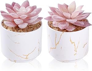 Succulents Indoor Decor, Pink Office Decor, Bureau Decor, Office Decor For Women, Cute Desk Accessories, Desk Plants, Fake Plants Decor, Fake Succulents, Artificial Potted Plants