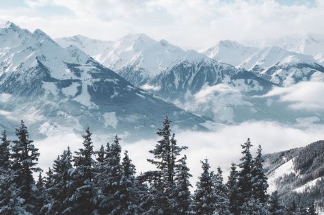 Beautiful shot of mountains and trees co... | Free Photo #Freepik #freephoto #tree #snow #wood #nature Snowy Mountains Landscape, Snow Mountain Photography, Misha Petrov, Snow Mountain Aesthetic, Snowy Mountains Aesthetic, Snow Mountain Landscape, Landscape Wall Mural, Mountains And Trees, Mountain Aesthetic