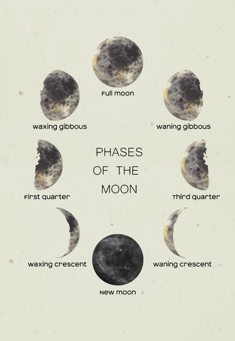 Watercolor moon in all its phases with letterings. New Moon, First Quarter, Third Quarter, Full Moon, Crescent phases First Quarter Moon Tattoo, New Moon Drawing, Moon Phase Drawing, Third Quarter Moon, Moon Phases Drawing, First Quarter Moon, Aesthetic Highlight Covers Instagram Pink, Witch Life, Moon Phases Art