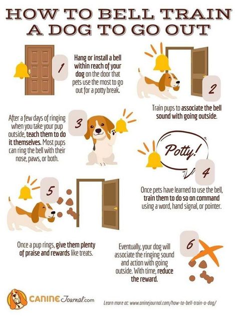 Methods for training your dog to identify and interact with their toys. Bell Training Puppy Tips, Bell Training Puppy, Dog Door Bell, Training A Dog, Dog Infographic, Train Dogs, Dog Training Tools, Train A Dog, Puppies Tips