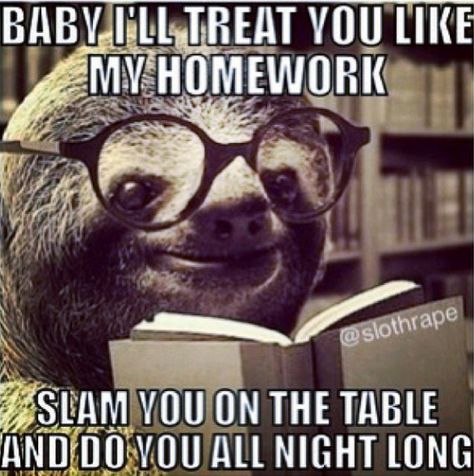 sloth pick up lines Dog Pick Up Lines, Country Pick Up Lines, Omg Funny, Alexis Davis, Bad Pick Up Lines, Lines For Girls, Funny Flirty Quotes, Pick Up Lines Cheesy, Pick Up Lines Funny