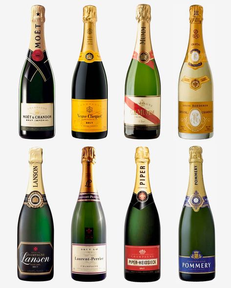 French-Champagne Champagne Brands, Best Champagne, Wine Knowledge, Home Bar Design, Bar Fridges, Moet Chandon, Veuve Clicquot, French Wine, Funny Images Laughter