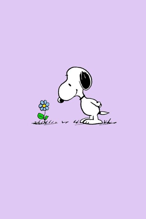 Images By Yolanda Escobar On Cartoons | Snoopy Wallpaper, Snoopy Pictures, Snoopy Images 771 Snoopy Profile Picture, Snoopy Wallpaper Backgrounds, Snoopy Cute, Charlie Brown Wallpaper, Wallpaper Snoopy, Peanuts Wallpaper, Snoopy Tattoo, Snoopy Images, Snoopy Wallpaper