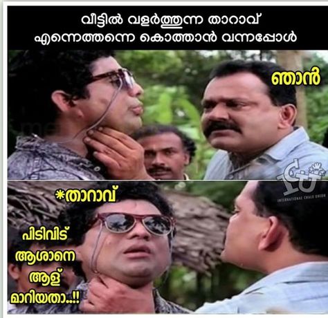 Mallu Trolls, Kerala Tourism, South India, Mirrored Sunglasses Men, Funny Facts, Kerala, Tourism, In This Moment, Funny