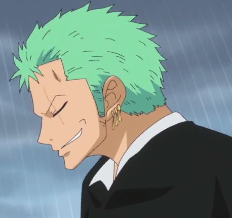 One Piece Side Profile, Zoro Side Profile, Zoro Pre Timeskip, Ronoroa Zoro, رورونوا زورو, Zoro Roronoa, One Piece Crew, Time Skip, Zoro One Piece