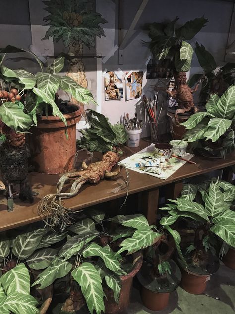 Professor Sprout Aesthetic, Herbology Classroom, Harry Potter Inspired Room, Lady Hekate, Neville Longbottom Aesthetic, Harry Potter Plants, Garden Theme Classroom, Harry Potter Mandrake, Fan Behavior