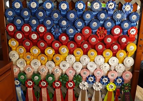 Horse Show Ribbon Display Lattice, Horse Ribbon Display Ideas Wall Hangings, Horse Ribbon Display Ideas, Horse Ribbons Display Ideas, Award Ribbon Display, Horse Ribbon Display, Show Ribbon Display, Ribbon Boards, Horse Show Ribbons