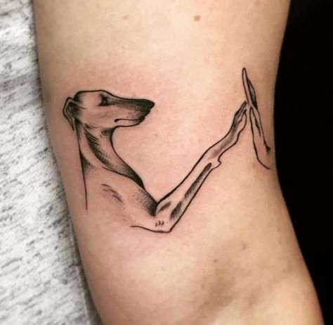 Greyhound Tattoo, Wing Tattoo Men, Tattoos For Women Small Meaningful, Tattoos For Women Flowers, Wing Tattoo, Tattoo Art Drawings, Dog Tattoo, Dog Tattoos, Whippet