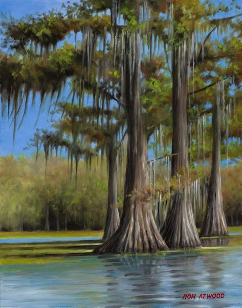 Scenic Paintings — Ron Atwood Art Cypress Trees Landscape, Swamp Painting, Swamp Landscape, Bald Cypress Tree, Highway Men, Louisiana Swamp, Cypress Swamp, Duck Pictures, Louisiana Art