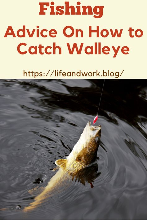 Best Walleye Lures, Easy Fishing Knots, Walleye Fishing Lures, Walleye Rigs, Walleye Fishing Tips, Fish Types, Fishing Ideas, Fishing For Beginners, Fly Fishing Tips