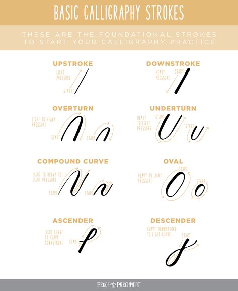 Create a strong foundation in your calligraphy practice by learning the basic calligraphy strokes in modern calligraphy with this free worksheet! #calligraphy #learncalligraphy Calligraphy Strokes Practice, Calligraphy Alphabet For Beginners Step By Step, Learn Calligraphy Free Printables, Basic Calligraphy Strokes, Western Calligraphy, Calligraphy Strokes, Summer Calligraphy, Calligraphy Worksheets, Basic Calligraphy