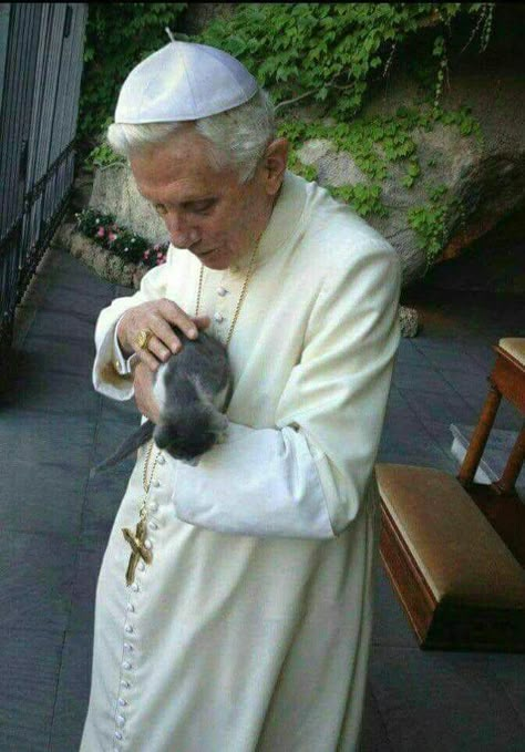 Celebrities With Cats, Benedict Xvi, Pope Benedict Xvi, Pope Benedict, The Pope, Pope John, Papa Francisco, Cat People, Catholic Art