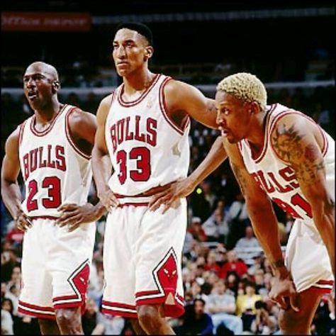 Dream team. 1996 Chicago Bulls, Michael Jordan Scottie Pippen, Jeffrey Jordan, Chicago Sports Teams, Sport Videos, Basket Nba, Jordan Bulls, Michael Jordan Chicago Bulls, Bulls Basketball