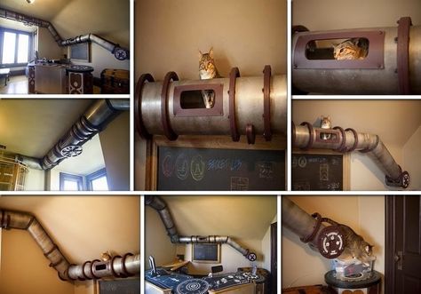 Steampunk cat walk Cat Play Area, Office Cat, Steampunk Tendencies, Steampunk Cat, Cat Shelves, Cat Room, Cat Wall, Pet Home, Diy Bed