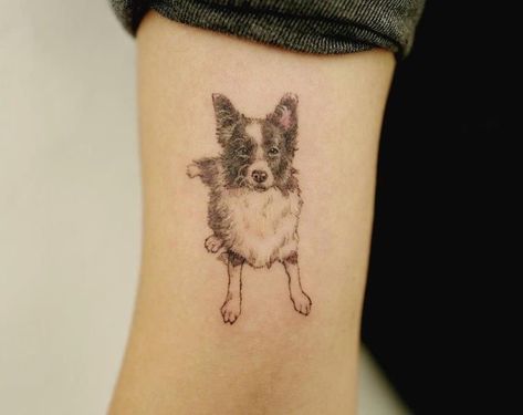 The 14 Rarest Australian Shepherd Tattoos | Page 2 of 3 | PetPress Full Body Dog Tattoo, Aussie Shepherd Tattoo, Aussie Dog Tattoo, Australian Shepherd Tattoo, Aussie Tattoo, Collie Tattoo, Border Collie Tattoo, Dogs Tattoo Ideas, Shepherd Tattoo