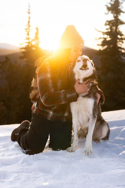 Session Inspiration: Slushy’s Sparkly Winter Photoshoot Dog Snow Photoshoot, Dog Snow Photography, Winter Dog Photoshoot, Dog Photography Poses, Photography Ideas At Home, Dog Winter, Dog Photoshoot, Winter Photoshoot, Dog Photograph