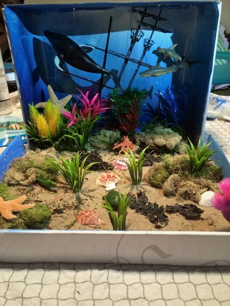 underwater diorama, ocean diorama, blue whale diorama, Blue Whale Diorama, Marine Diorama Project, Marine Biome Shoebox Project, Sea Diaroma, Orca Diorama School Projects, Shark Diorama School Projects, Ocean Diaroma, Axolotl Diorama, Ocean Diorama Project Under The Sea