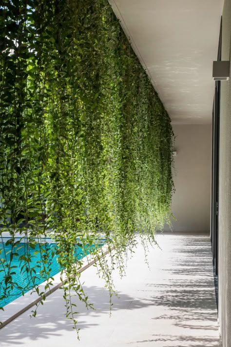 Hanging Gardens Create A Private Oasis For These Modern Villas | CONTEMPORIST Modern Villas, Zen Garden Design, Hanging Gardens, Easy Backdrops, Green Architecture, Creative Gardening, Hanging Garden, Terrace Garden, Outdoor Landscaping