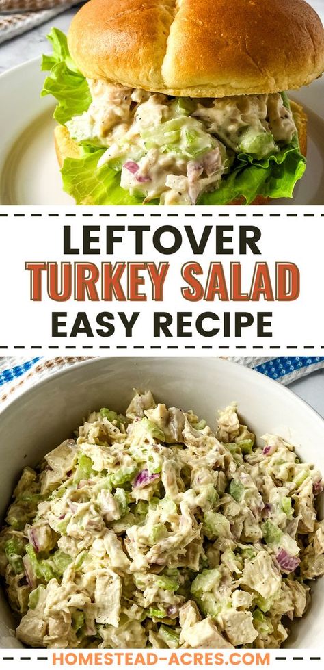 Got turkey leftovers? Turn them into this easy turkey salad recipe! It's perfect for a quick lunch or dinner. Combining those savory turkey chunks with fresh veggies and a creamy dressing. It's not just a salad it's a delicious way to enjoy holiday leftover recipes! Whether you're craving a turkey sandwich recipe or looking to try new turkey meat recipes, this dish delivers! Ready to dig in? Your easy lunch idea just got tastier! Easy Turkey Salad Recipe, Left Turkey Recipes Easy, Chopped Turkey Salad, Turkey Sandwiches Ideas, Smoked Turkey Salad Recipes, What To Make With Leftover Turkey Meat, Turkey Salad Sandwich Recipe, Leftover Turkey Salad Recipes, Recipes With Leftover Turkey Meat